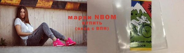 твердый Богородицк