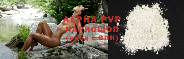 стафф Богданович