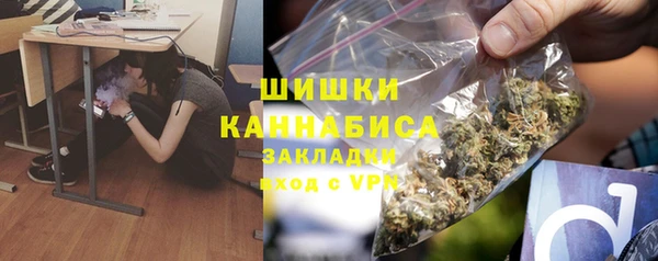 твердый Богородицк