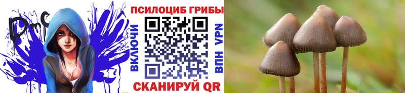 наркота  Приволжский  Псилоцибиновые грибы мухоморы 